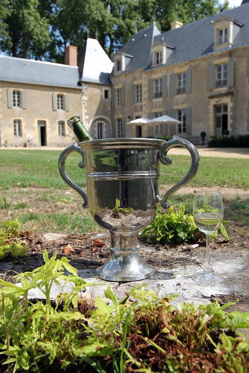 Chateau De Planchevienne Magny-Cours Kültér fotó